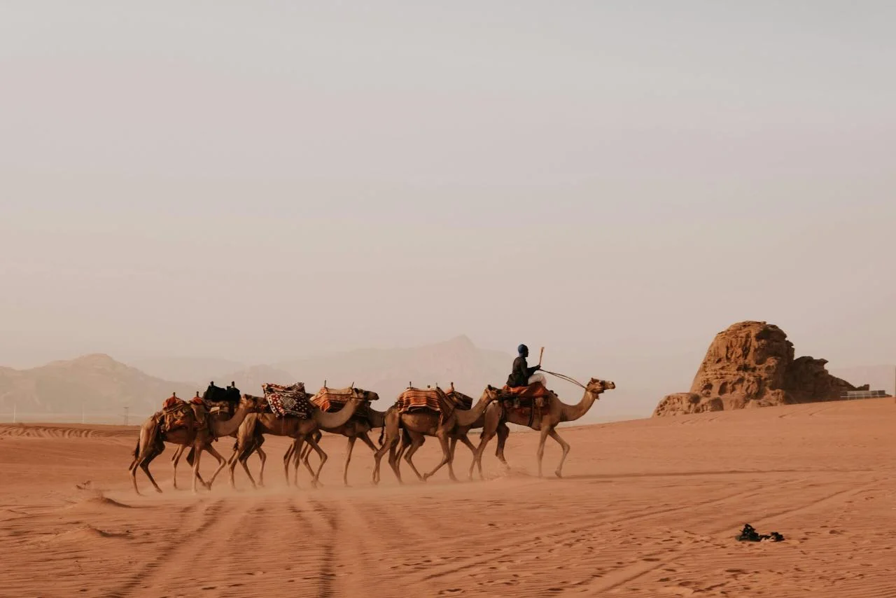Desert Safari Rajasthan Tour